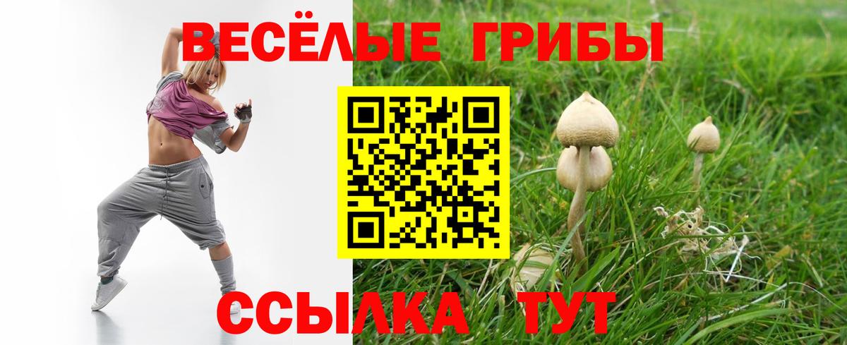 Галлюциногенные грибы ЛСД Жигулёвск