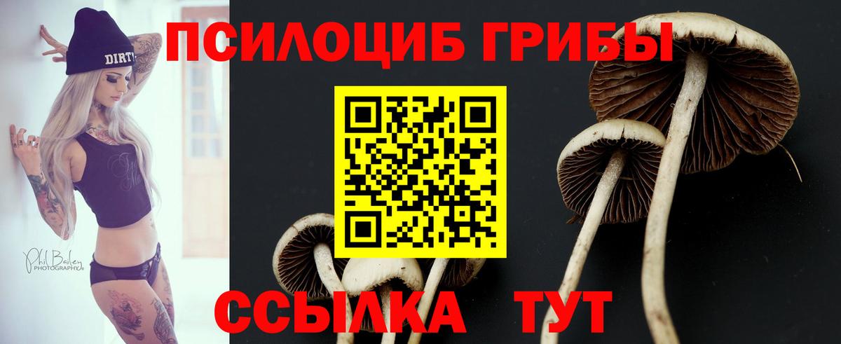 как найти закладки  Галлюциногенные грибы Cubensis  Вход с VPN  Жигулёвск 